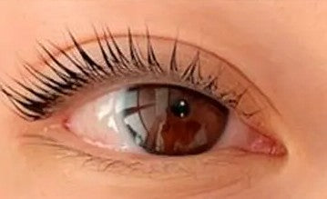 Asian lash type — natural upgrade